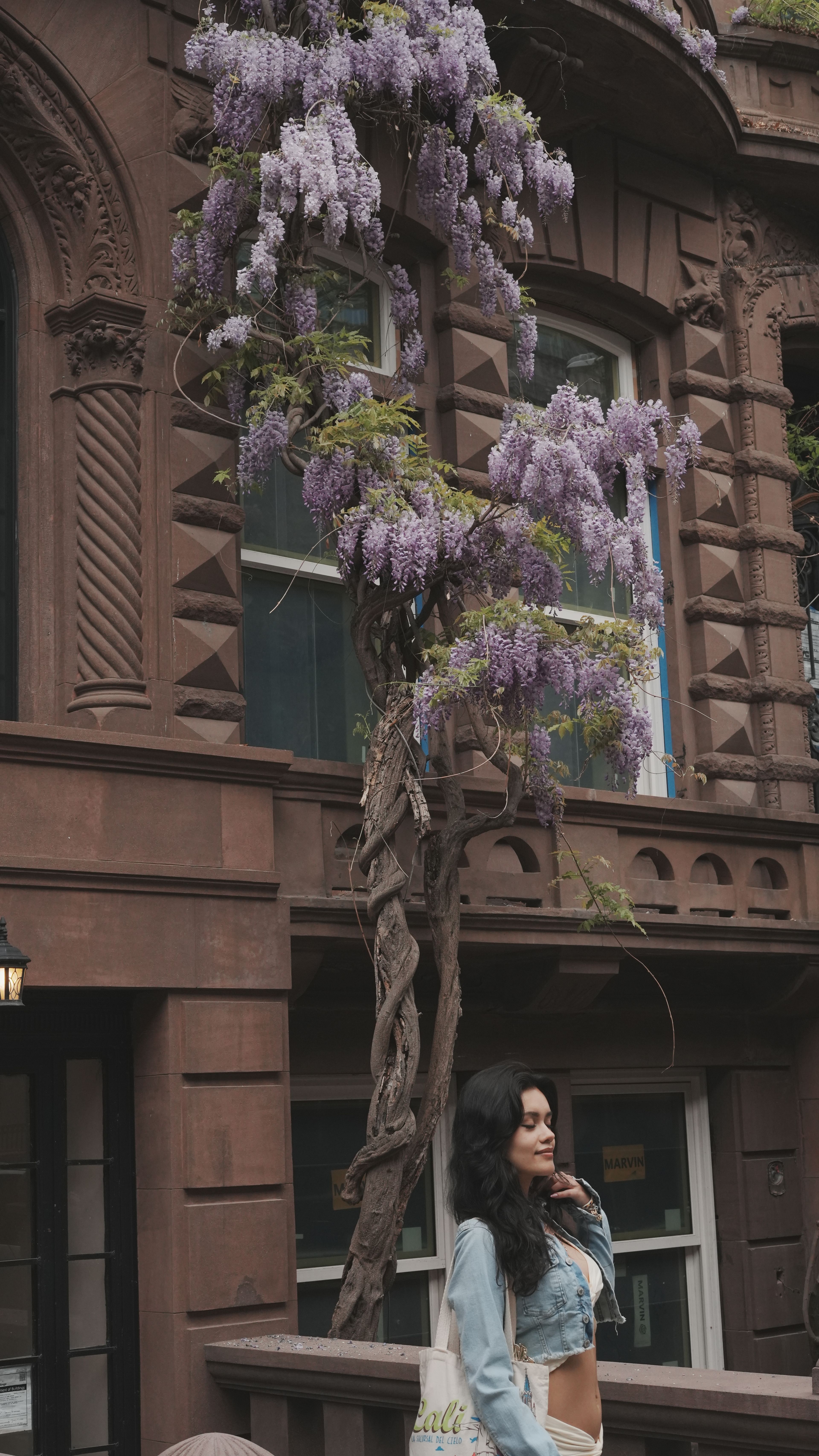 DSC04705